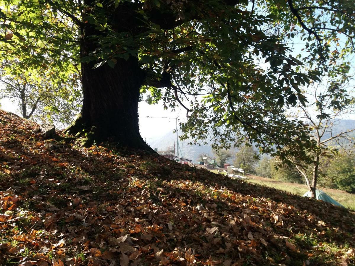 Agriturismo Piane Villa Ono Degno Luaran gambar