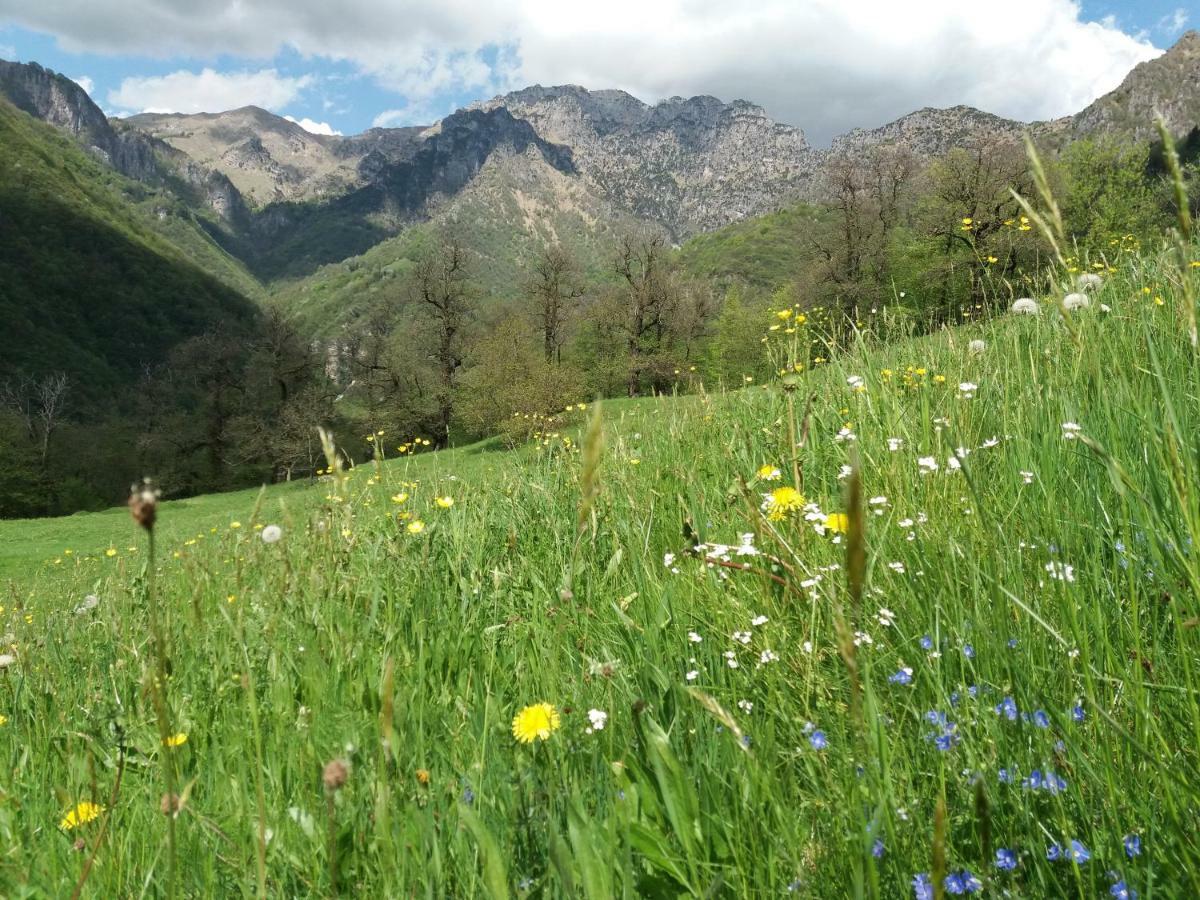 Agriturismo Piane Villa Ono Degno Luaran gambar